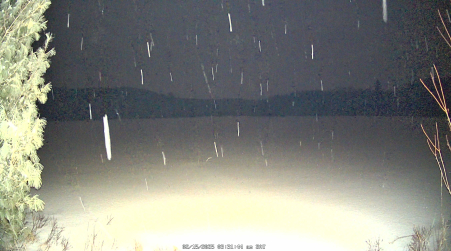 Image from 2025-02-15