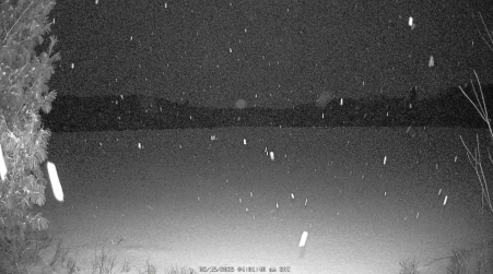 Image from 2025-02-15