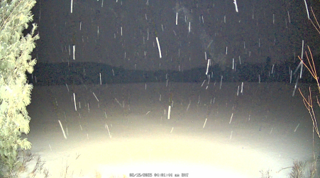 Image from 2025-02-15