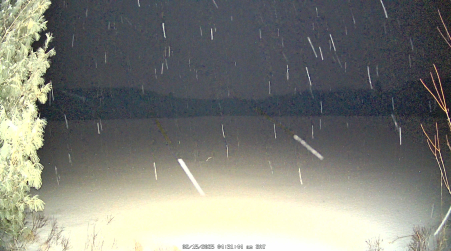 Image from 2025-02-15
