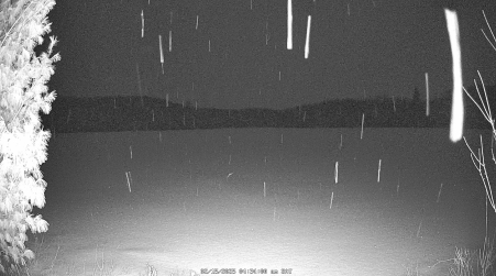 Image from 2025-02-15