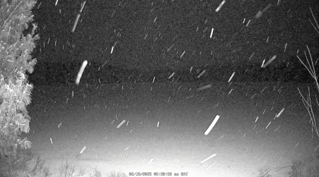 Image from 2025-02-15
