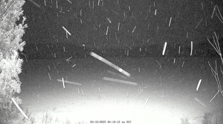 Image from 2025-02-15