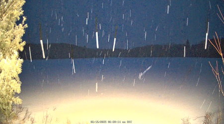 Image from 2025-02-15