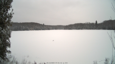 Image from 2025-02-15