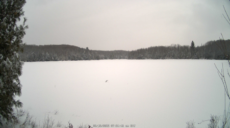 Image from 2025-02-15