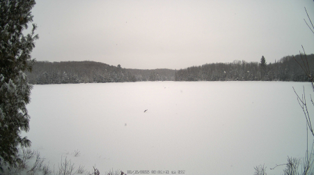 Image from 2025-02-15