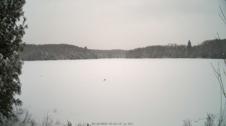 Image from 2025-02-15