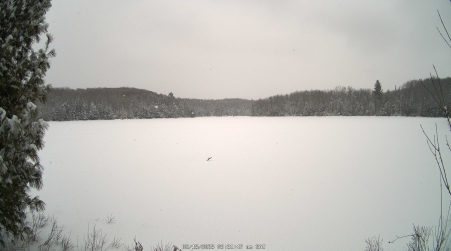 Image from 2025-02-15