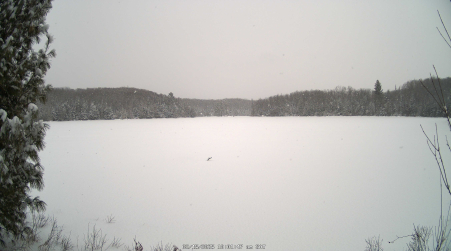 Image from 2025-02-15