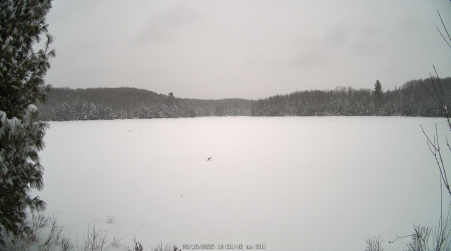 Image from 2025-02-15