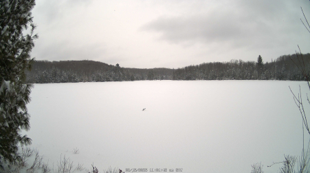 Image from 2025-02-15