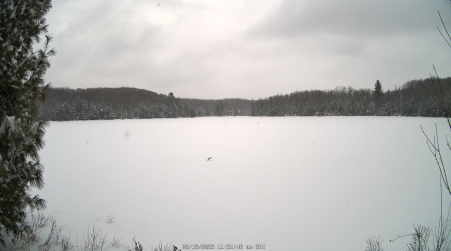 Image from 2025-02-15