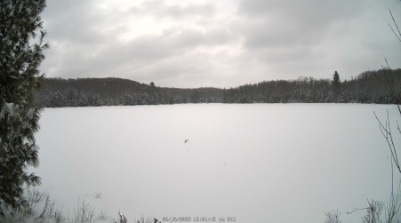 Image from 2025-02-15