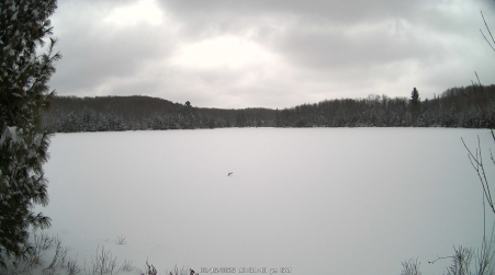Image from 2025-02-15
