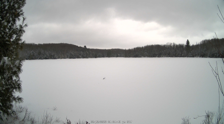 Image from 2025-02-15