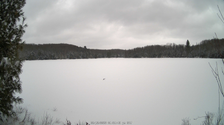 Image from 2025-02-15