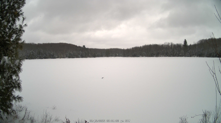 Image from 2025-02-15