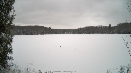 Image from 2025-02-15