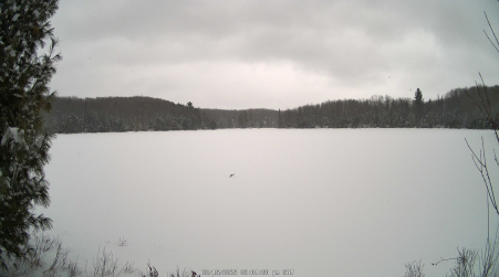 Image from 2025-02-15