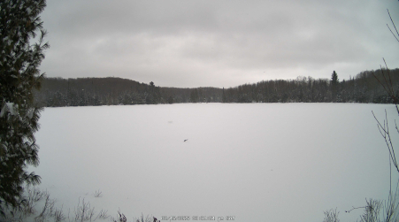 Image from 2025-02-15