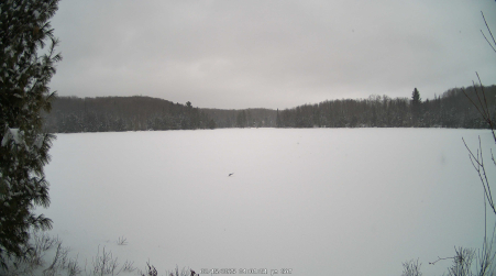 Image from 2025-02-15