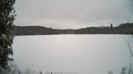 Image from 2025-02-15