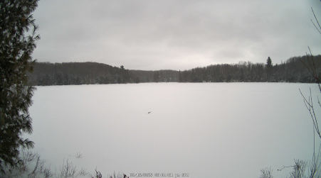 Image from 2025-02-15