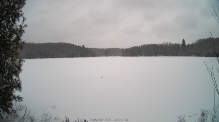 Image from 2025-02-15