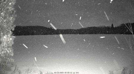 Image from 2025-02-15