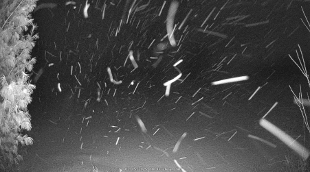 Image from 2025-02-15