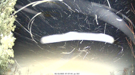 Image from 2025-02-15