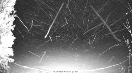 Image from 2025-02-15