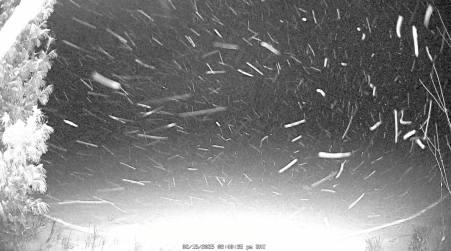 Image from 2025-02-15
