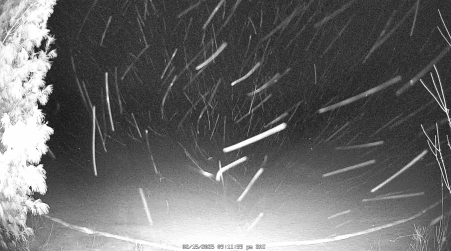Image from 2025-02-15