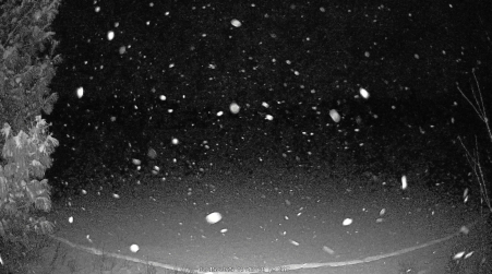 Image from 2025-02-15