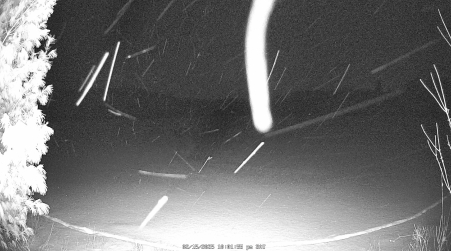 Image from 2025-02-15