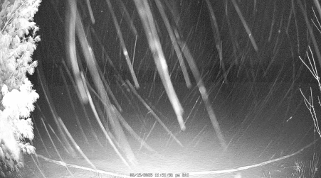 Image from 2025-02-15