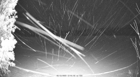 Image from 2025-02-16