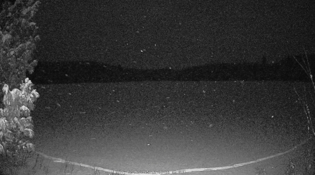 Image from 2025-02-16