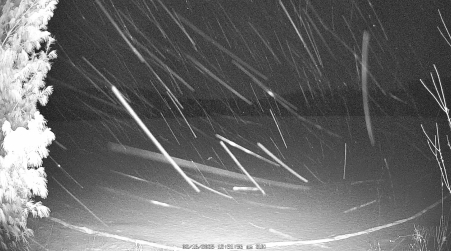Image from 2025-02-16