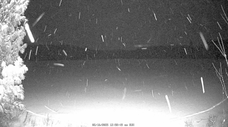 Image from 2025-02-16