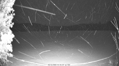 Image from 2025-02-16