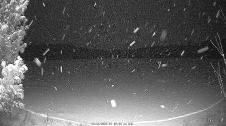 Image from 2025-02-16