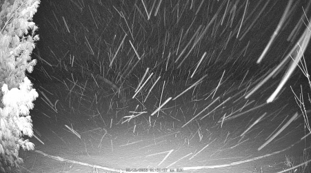 Image from 2025-02-16