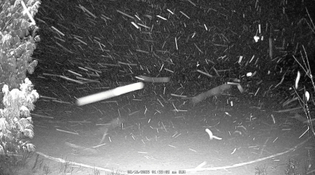 Image from 2025-02-16