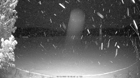 Image from 2025-02-16