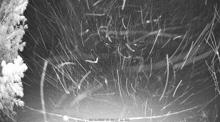 Image from 2025-02-16