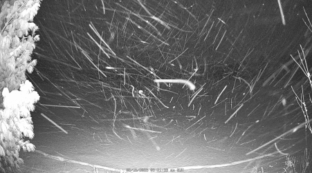 Image from 2025-02-16