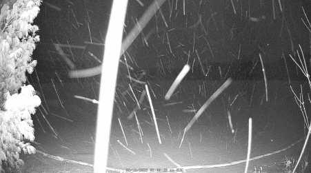 Image from 2025-02-16